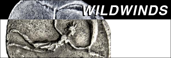 WildWinds
